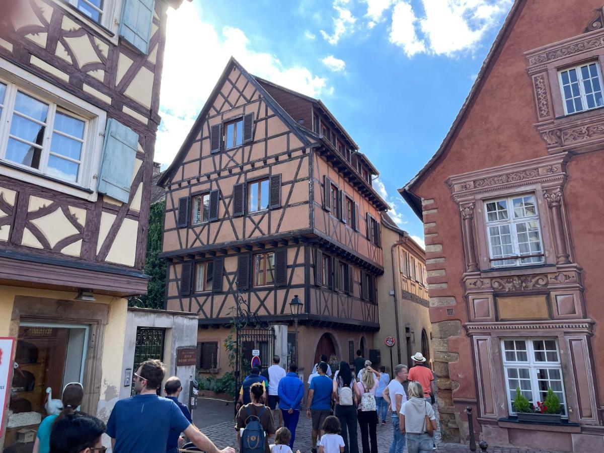 Rive Petite Venise Appartement Luxe - Centre Ville Colmar - Clim, Ascenseur & Possibilite Parking Eksteriør bilde